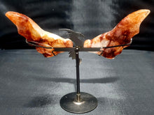 Load image into Gallery viewer, Hematoid Quartz (fire quartz) Carved Wing Dragon 0402