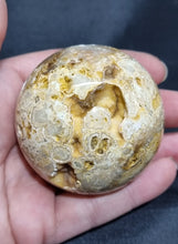 Load image into Gallery viewer, Crazy Lace Agate Druzy Sphere 0170
